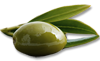 York Olive Oil Co.