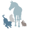 York Veterinary Services
