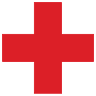 The Roof Medic