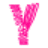Youth Inc.