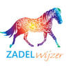 Zadel Wijzer - Boomloos Zadelpasservice