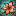 Subtropical Horticulture Circle