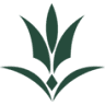 Olczyska Polana