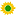 Zdravíčko