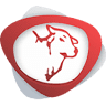 Zebu meat Supermarkets