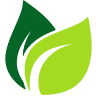 Zelaya Landscaping Maintenance and Design