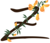 Zenestrin