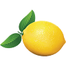 Zest!