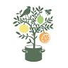 Zest Kitchen Shop