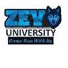 Sales Enhancement Institute/Coach37