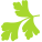 Zielona Pietrucha