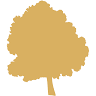 Golden Linden Spa Hotel