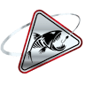 Zona D Pesca