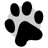 Zoolandia