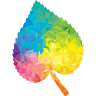 Elementary schools and kindergartens Lisov