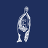 Wyandotte Physical Therapy Associates