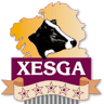 Xesga Lalín