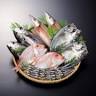 山道水産 やまみちのひもの