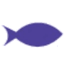 The School of Yaya's Fishes