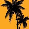 Yay Punta Cana