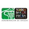 ycoden daute isora