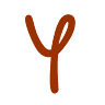 Y d'ille