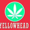 Yellowhead Cannabis