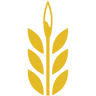 Yoder's Farm Market