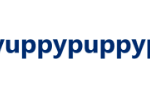 Yuppy Puppy Pet Shop