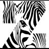 Zebra MR. Moda femenina