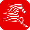 Zebra Rent A Car Oto Kiralama - Filo ve Transfer Hizmetleri