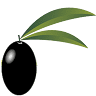 Zeytin A.Ş.