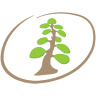 Green Angles - Nursery Ornamental Plants