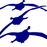 Zmax Waterfowl Llc