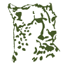 Zoo Consultants B.V.