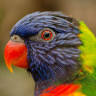 ZOO Natura