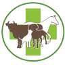 Zoo Vet Center