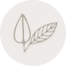 ZUIVER Skin & Brows Alkmaar