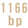 1166 Backpackers