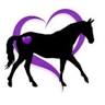 4 the Love of Horses