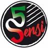 5 sensi