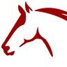 5 Star Boarding and Equine