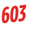 603 Pest Control Services- A Division of Modern Pest