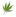 642 Cannabis