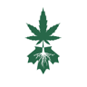Eighth Cannabis - Coboconk
