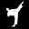 All American Martial Arts Supply East