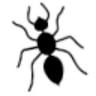 Aantex Pest Control