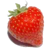 Aardbeien Drive-in J&B