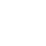 Holt Law