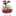 Roslindale Florist